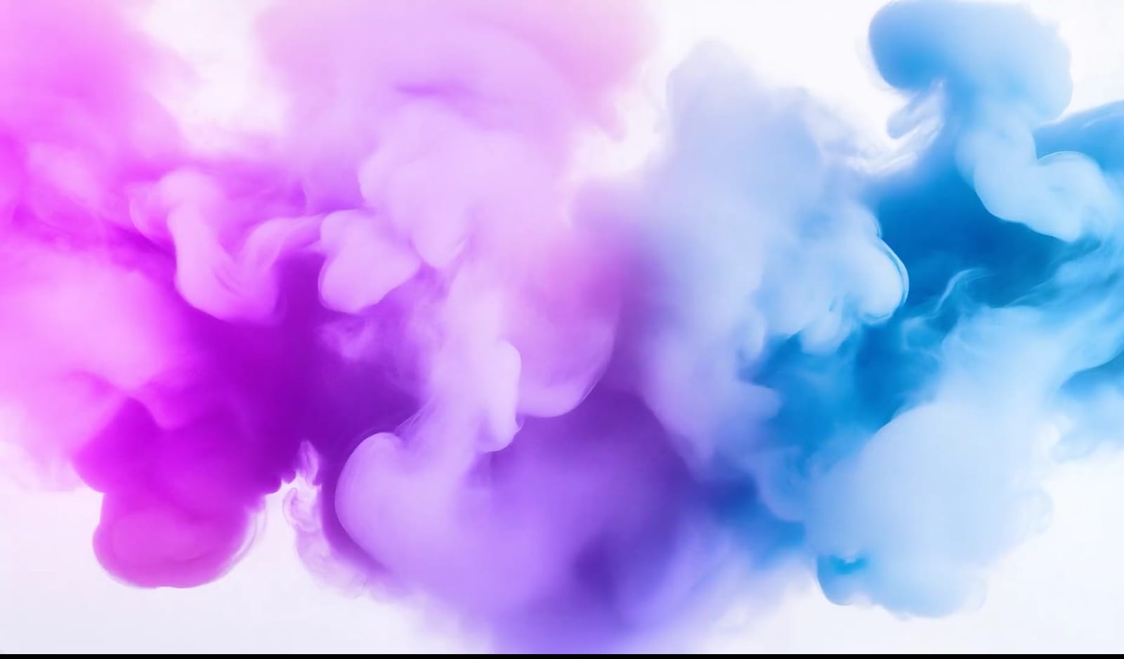 Purple and blue vapor clouds — the Roach's Vape Heaven lounge atmosphere